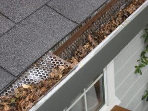 Gutters need cleaning