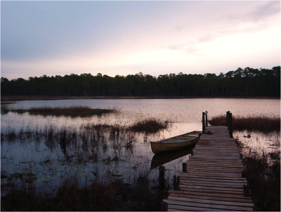 stjohnsriver USAWaterviews Blog